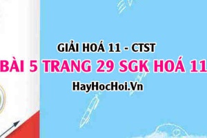 Giải bài 5 trang 29 Hoá 11 SGK Chân trời sáng tạo
